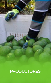 Productores