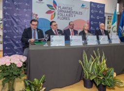 Apertura 3