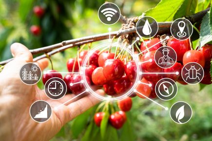 Agricultural,Fruits,Technology.,Precision,Farming,System.,Smart,Sensor